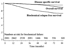 Prostate cancer brachytherapy can … Radical Prostatectomy External Beam Radiotherapy 72 Gy External Beam Radiotherapy 72 Gy Permanent Seed Implantation Or Combined Seeds External Beam Radiotherapy For Stage T1 T2 Prostate Cancer International Journal Of Radiation Oncology Biology