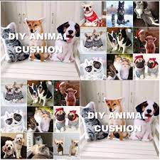 Welcome to the home of the custom pet pillow! Diy Customized Personalize Pet Animal Cushion Pillow Pet Supplies Homes Other Pet Accessories On Carousell