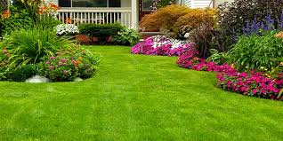 We did not find results for: How To Redo An Existing Flower Bed Budget Dumpster