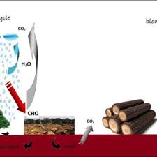 We have carved a niche in the market as the premium manufacturer, exporter & supplier of solid biomass briquette from rajasthan, india. Pdf A Review On The Characteristic Of Biomass And Classification Of Bioenergy Through Direct Combustion And Gasification As An Alternative Power Supply