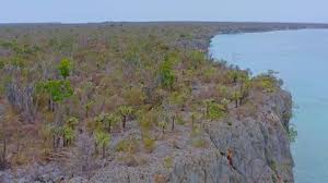 Want to discover all there is to do in jaragua national park? Jaragua Stock Video Footage 4k And Hd Video Clips Shutterstock