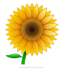 Sunflower drawing clip art digital download etsy. How To Draw A Sunflower Filled With Beautiful Effects