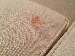 Oje sürmeden evvel birtakım tedbirler alsak da kimi zaman lekeleri yine de önleyemiyoruz. 33 Koltuk Yikama Koltuktan Kusmuk Lekesi Nasil Cikar