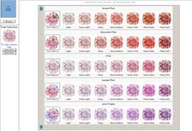 Colored Stone Grading System Gemwise Rwwise Com