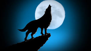 How to draw scenery of moonlight wolf step by step | hihi pencil. How To Draw A Wolf Howling Wolf Drawing For Kids Youtube