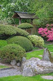 Image Pines Pinus And Rhododendrons Rhododendron In A Japanese Garden 526123 Images And Videos Of Plan Japanese Garden Shade Garden Plants Asian Garden