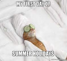At or around the summer solstice (about 3 days before midsummer. My First Day Of Summer Holidays Pampered Cat Meme Make A Meme