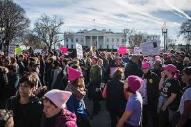 8 extractions, 23 fillings,