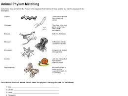 Animal Phylum Matching 6th 8th Grade Worksheet Lesson Pla Animal Behavior Animals Cnidaria