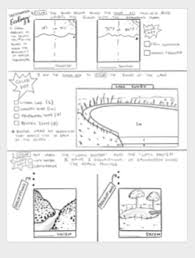 Some of the coloring page names are rainforest amazon coloring exploring nature educational resource, rainforest layers label work sketch coloring, commotion in the ocean coloring ocean is a sea that is very large in size which is a, color plate 11 kelp bed coloring books coloring ocean habitat. Ecosystem Coloring Worksheets Teaching Resources Tpt