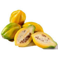 Image result for Vasconcellea pubescens