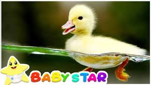 Gambar kartun keren sudah berseliweran di internet. 37 Kids Songs Nursery Rhymes Ideas Kids Songs Nursery Rhymes Rhymes