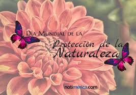 Maybe you would like to learn more about one of these? 18 De Octubre Dia Mundial De La Proteccion De La Naturaleza Por Que Se Celebra Hoy