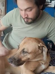 Pr 2 de "MONSTRUOSO COTIDIANO" imágenes por Fredrik Johnson. 2023