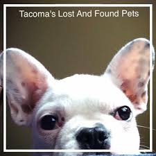 To give every animal the chance to have a happy and healthy life. The Pet Doctor Home Facebook