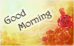 Good Morning With Flowers Hd Wallpaper Good Morning Flowers Hd Images Good Morning Hd Wallp Good Morning Wallpaper Good Morning Images Hd Good Morning Poems