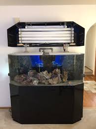 Fs 100 Gallon Acrylic Flat Back Hex Gurnee Grayslake Il Reef Central Online Community