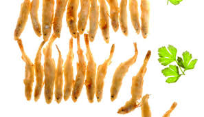 Goujons De Riviere En Friture Par Alain Ducasse Recette Friture Alain Ducasse Recette De Grand Chef