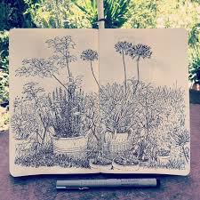 Blumengarten In My Moleskine Sketchbook By Jared Muralt Spent My Sunday Mor Garden Gardenideas Gardendesign Natur Skizze Blumengarten Illustration