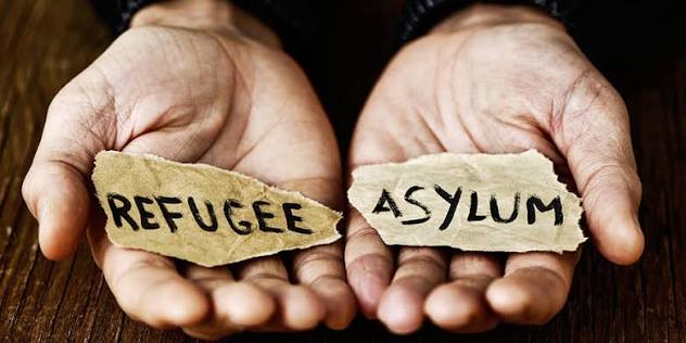 Asylum Lawyer Miami