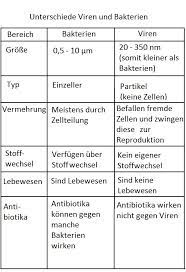 Viren Bakterien Unterschied Gemeinsamkeiten
