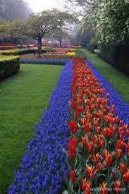 Keukenhof Gardens Netherlands Beautiful Gardens Most Beautiful Gardens Gorgeous Gardens