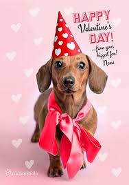 See more ideas about dog valentines, dog valentine cards, valentine. Dog Valentine S Day Cards Funky Pigeon