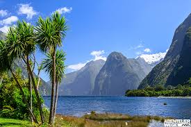 Welche insel ist die richtige für mich? 3 X 3 Wochen In Neuseeland Blog Abenteuerwege Reisen