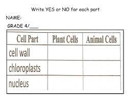 Maybe you would like to learn more about one of these? Fill In The Table Animal Cells Plant Cells Worksheet
