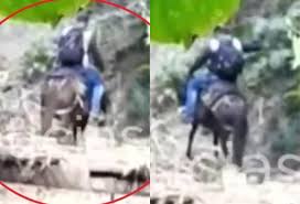 La información más completa de colombia y el mundo sobre alias otoniel con audios, noticias, fotos, videos y entrevistas exclusivas. Imagenes Asi Se Mueve Otoniel En El Uraba Rcn Radio
