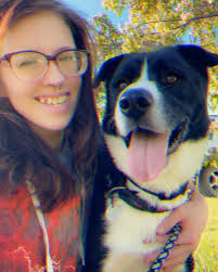 Update: he is still missing with no sightings at all, it's unlike him to  just run. If you have picked him up please return him. I just want him safe  Missing dog