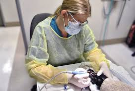 Dental Services Good Medicine For Patients Practices
