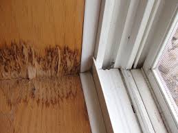 Was this window installed by a bonehead?