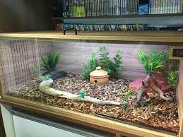 Vivarium Corn Snake Corn Snake Snake Terrarium Snake Cages