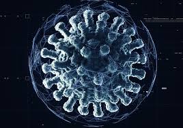 Le variant omicron présente plus de mutations que le variant delta, selon l'équipe de chercheurs de l'hôpital bambino gesù de rome, en italie. Coronavirus Un Nouveau Variant Detecte En Afrique Du Sud