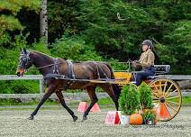 Fall Driving Combined Test, Arena Trials, and Continuous Drive