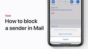 We did not find results for: How To Block A Sender In Mail In Ios 13 On Your Iphone Ipad Or Ipod Touch Apple Support Youtube