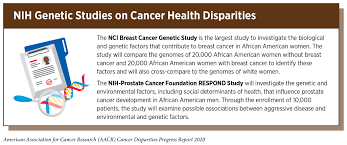 Important days in february 2020. Overcoming Disparities Through Policy Aacr Cancer Disparities Progress Report 2020