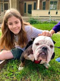 Binlerce Kopek Ile Fotograf Cektiren 11 Yasindaki Hayvansever Cocuk Farklifarkli Kopek Shih Tzu Bulldog