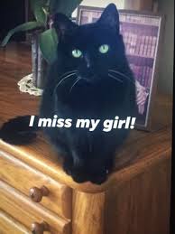 Doctor michael conaway, founder of reata. Buena Pet Clinic 36 Reviews Veterinarians 900 N Swan Rd Tucson Az United States Phone Number
