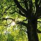 Silent Meditation: Building Inner Calm