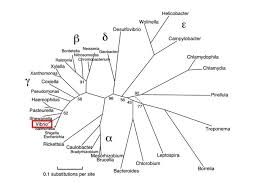 Image result for organisms and their environment