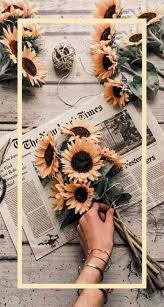 Wall Paper Iphone Vintage Sunflowers Phone Wallpapers 20 Ideas Aesthetic Iphone Wallpaper Sunflower Wallpaper Phone Wallpaper Choose from over a million free vectors, clipart graphics, vector art images, design templates, and illustrations created by artists worldwide! wall paper iphone vintage sunflowers