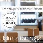 Daily Yoga Classes