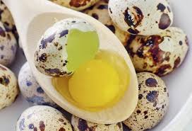 Are Quail Eggs Safe To Eat For A Child With Egg Allergy Laying quails need spacious and safe housing, bedding for nesting, and as. are quail eggs safe to eat for a child