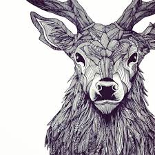 Tumblr Na37fln1lz1qjdwzxo1 500 Jpg 500 500 Deer Drawing Reindeer Drawing Art