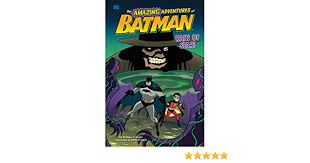 In here it's very quiet and silent. Amazon Com Rain Of Fear The Amazing Adventures Of Batman 9781515839811 Snider Brandon T Brizuela Dario Books