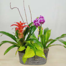 Apartments include breakfast bars and custom cabinetry. Send Flowers Port Saint Lucie Fl Flower Delivery Bloomnation