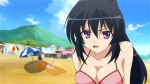 Omamori Himari (Long Live Ecchi)