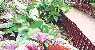 Mulai dari bangun di pagi hari hingga akan tidur di malam hari doa kristen untuk keluarga bisa dibuat oleh orang tua ataupun anak. Berzikir Sambil Berkebun